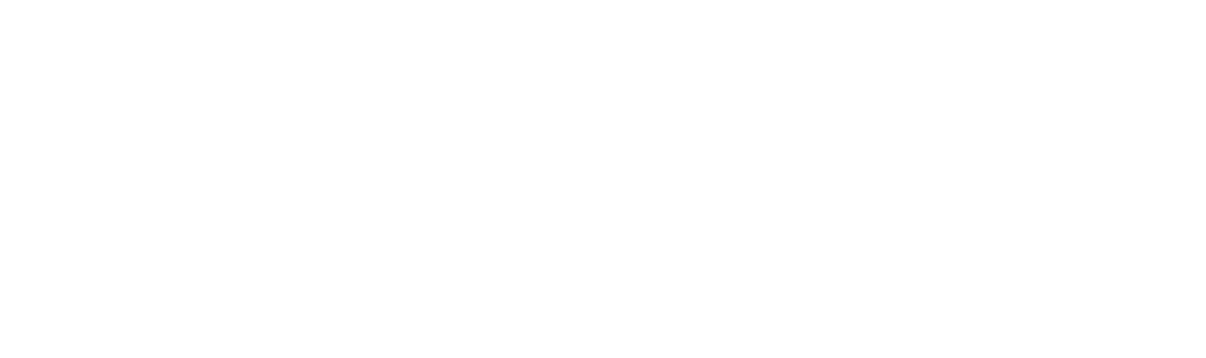 armi logo